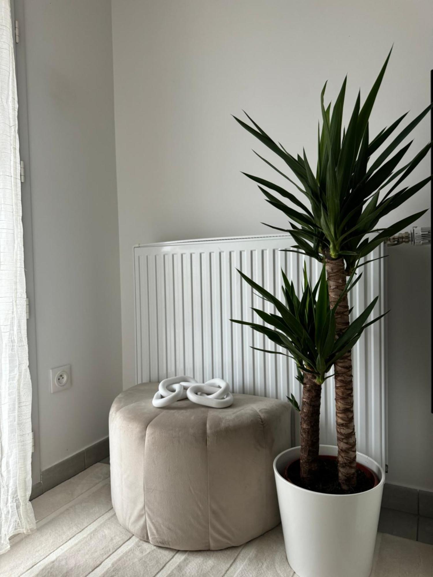Superbe Appartement - Near Paris Corbeil-Essonnes Exterior foto